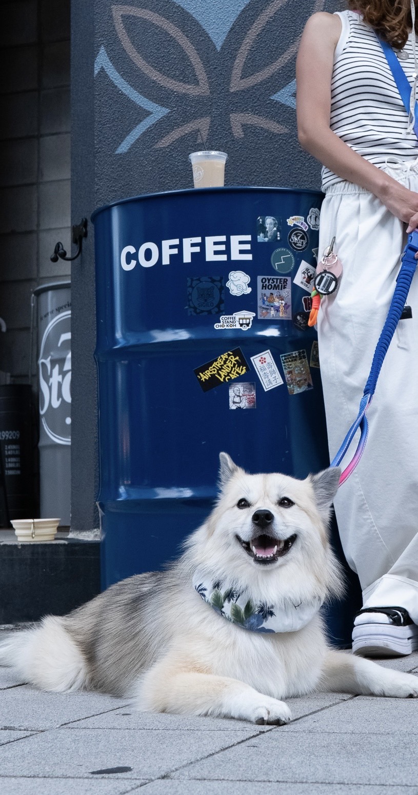 COFFEEと書かれた青いドラム缶の前で、飼い主の足元に伏せて笑う犬